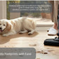 The Tineco FLOOR ONE S7 Steam cleaner effortlessly removes muddy paw prints left by a dog, demonstrating its power to clean and disinfect tough, stuck-on messes for a spotless and hygienic floor.