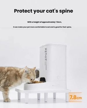 Cat eating from a PETKIT smart feeder on the raised stand